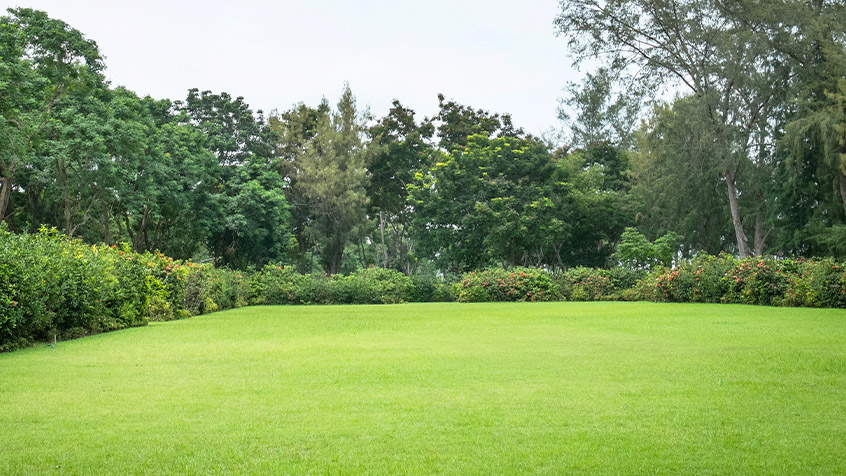 empty upscale lot for new home construction.