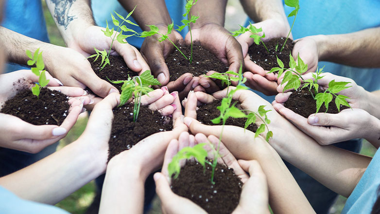 several hands grouped together each holding dirt and a small plant