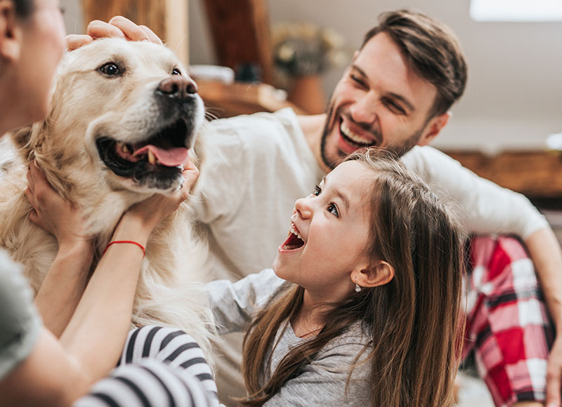 Family with young daughter happily play with their pet dog.